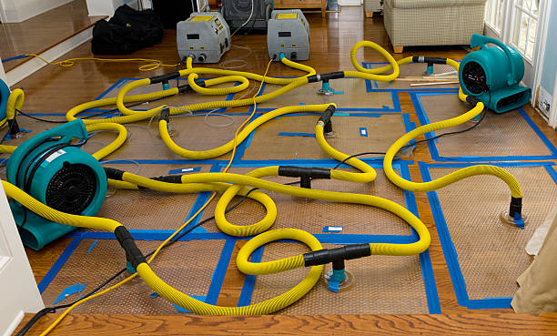 Professional Crawl Space Water Removal technician working in Nome, ND